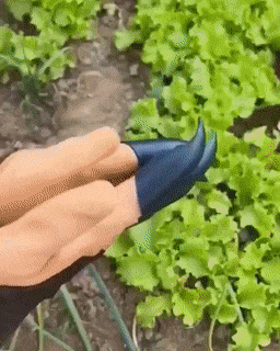 Garden Planting Gloves - Mystery Gadgets garden-planting-gloves, Garden