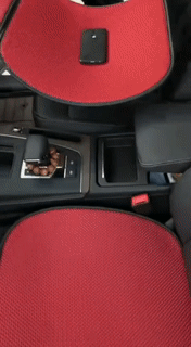 Non-Slip Universal Car Seat Protector Mat
