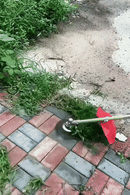 Handheld Weed Cutter