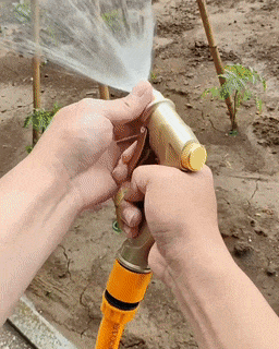 Telescopic Garden Hose Metal Spray Gun