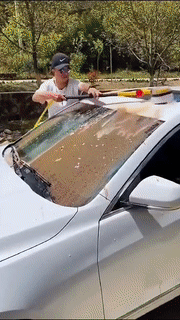 TurboShine Automatic Rotating Car Brush