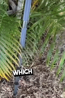 Multifunctional Tactical Hiking Stick