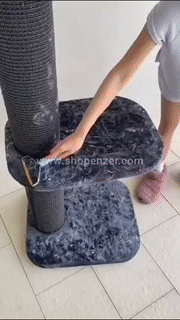 Portable Lint Remover