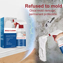 MoldXpert Stain Remover Spray