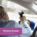 Car Step Secure Assist Handle