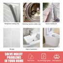 All-Purpose Mold Remover Gel