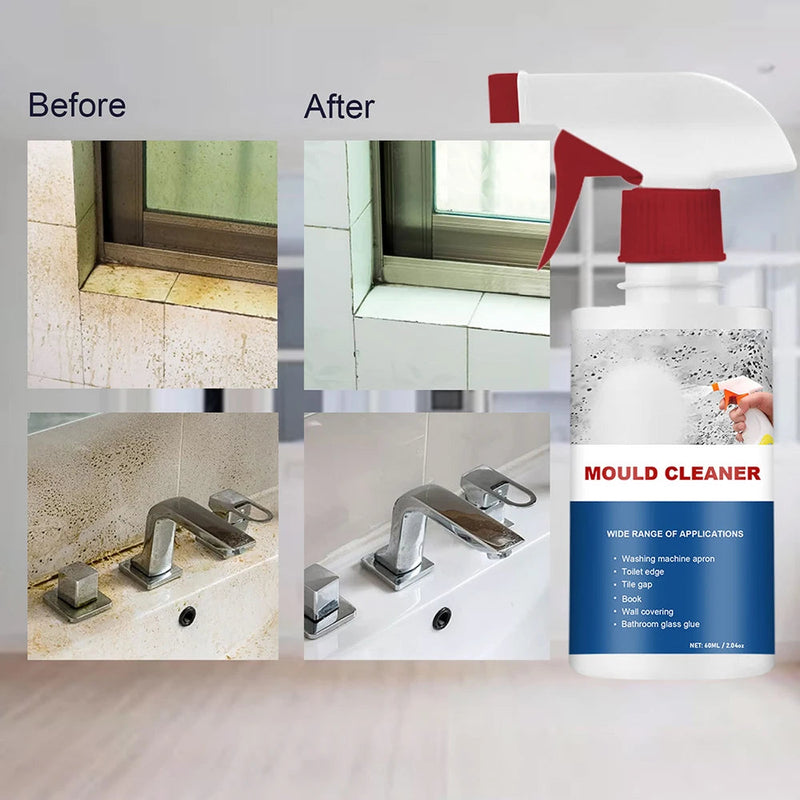 MoldXpert Stain Remover Spray