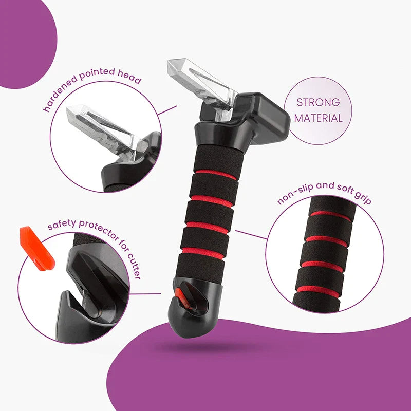 Car Step Secure Assist Handle