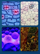 HD Outdoor Optical Microscope