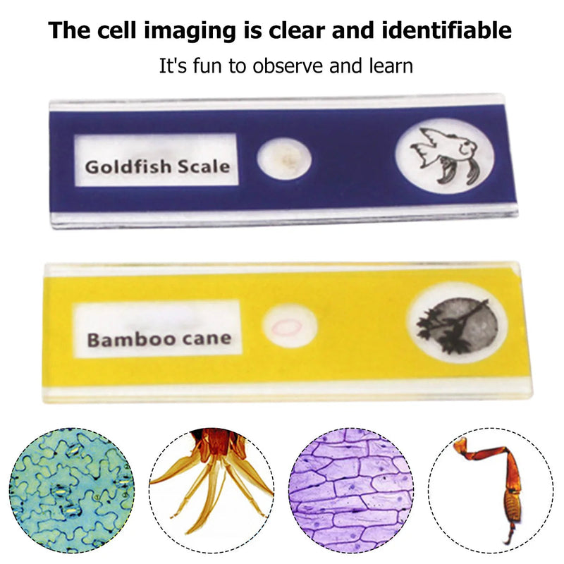 HD Outdoor Optical Microscope