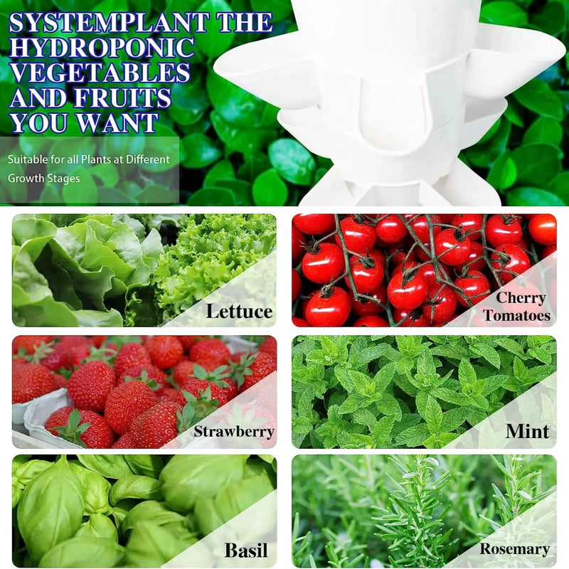 Mini Hydroponic Growing System