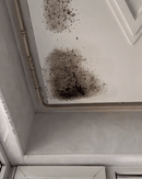 MoldXpert Stain Remover Spray