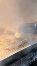 PowerJet Steam Cleaner