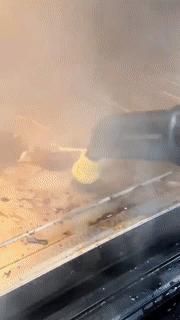 PowerJet Steam Cleaner