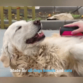 Pet Comb with Lint Remover - Mystery Gadgets pet-comb-with-lint-remover, 