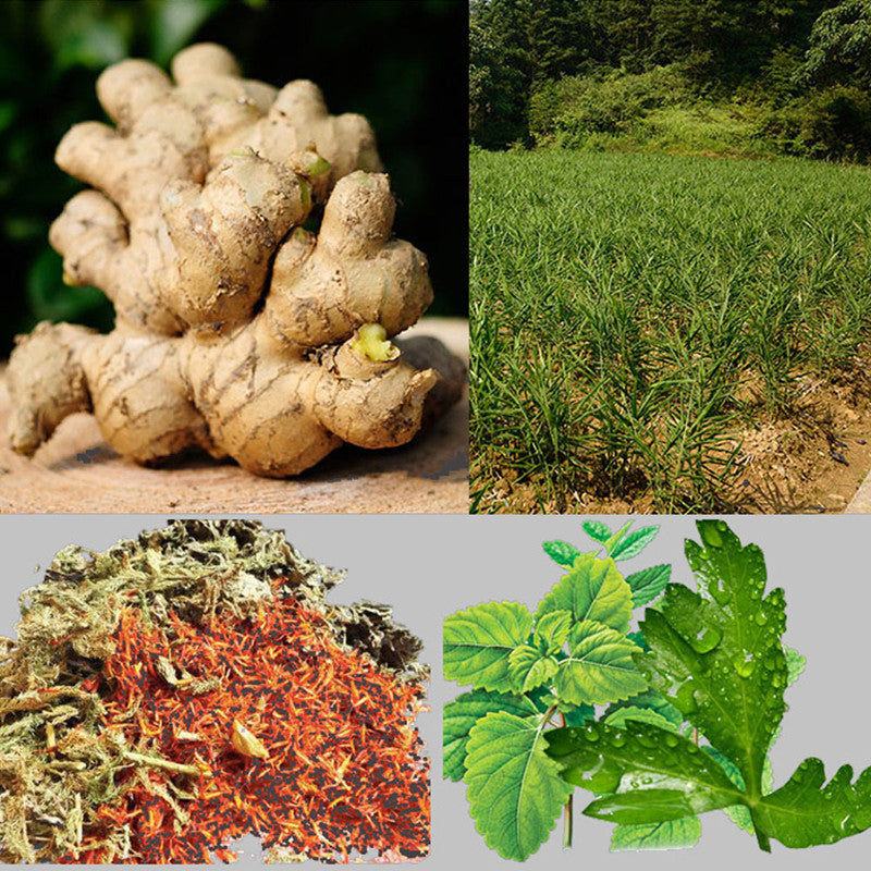 Pain Relief Ginger Detox Patch - Mystery Gadgets pain-relief-ginger-detox-patch, 