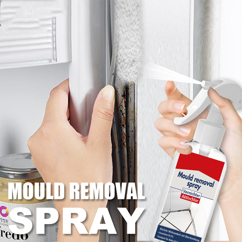 Mold Removal Spray