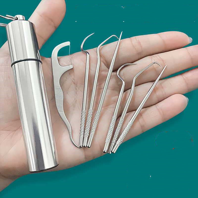 Stainless Steel Toothpick Tool - Mystery Gadgets stainless-steel-toothpick-tool, Toothpick Tool